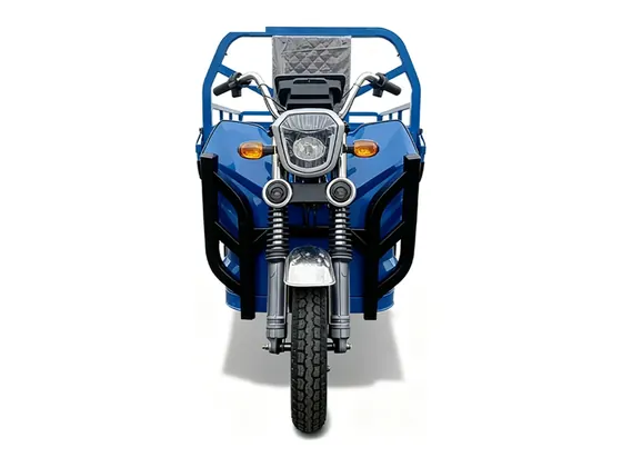 C16 Electric Cargo Tricycle (1.6 m box)