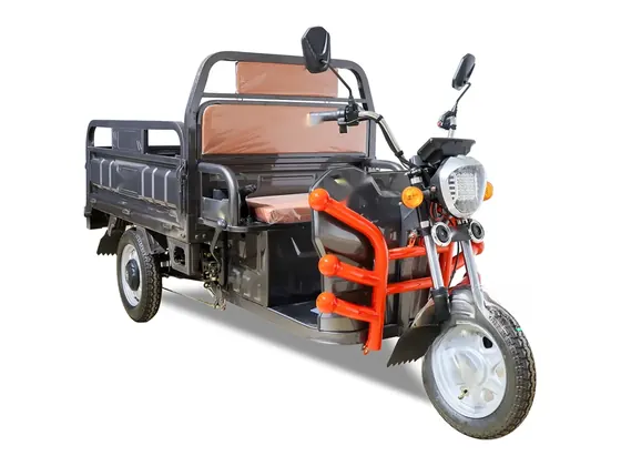 C16 Electric Cargo Tricycle (1.6 m box) view 3