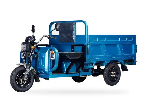 C16 Electric Cargo Tricycle (1.6 m box) view 5