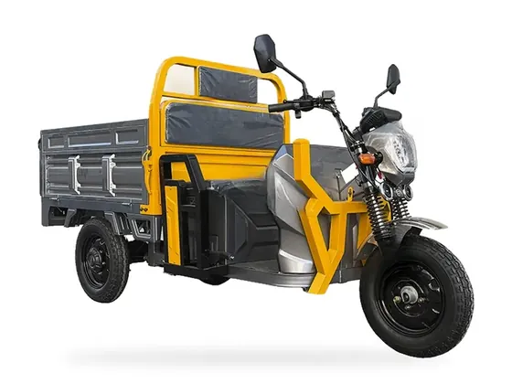 CE15 EEC-Version Electric Cargo Tricycle – view 2