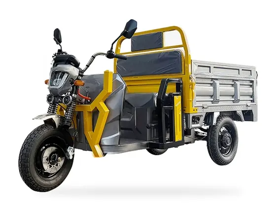 CE15 EEC-Version Electric Cargo Tricycle – view 3