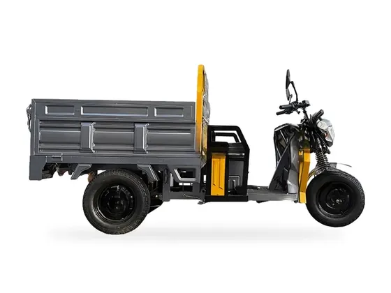 CE15 EEC-Version Electric Cargo Tricycle – view 5