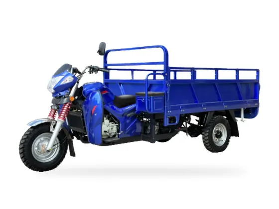 F175 Gasoline Cargo Tricycle (175 / 200cc) – view 2