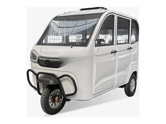 P3 Enclosed Electric Passenger Tricycle (2–3 seats)